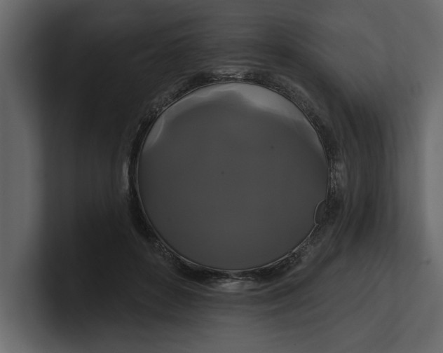 X0000100920504200807151225