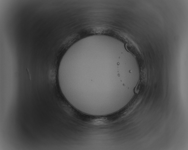 X0000100920505200807151225