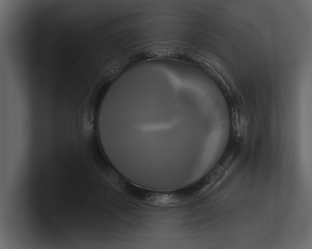 X0000100920507200807151225