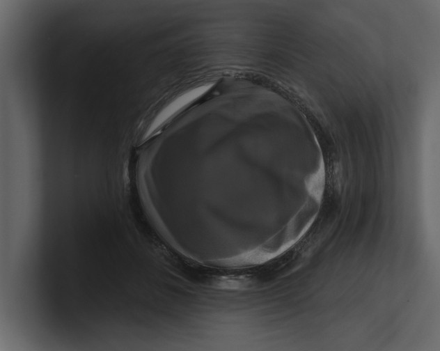 X0000100920508200807151225