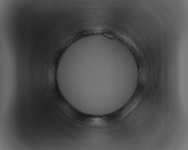 X0000100920509200807151225