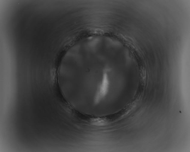 X0000100920511200807151225