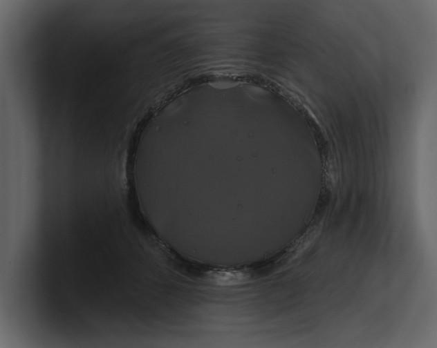 X0000100920512200807151225