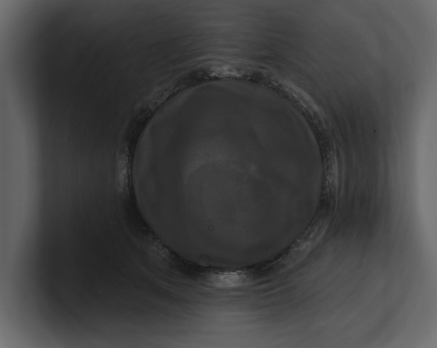 X0000100920513200807151225
