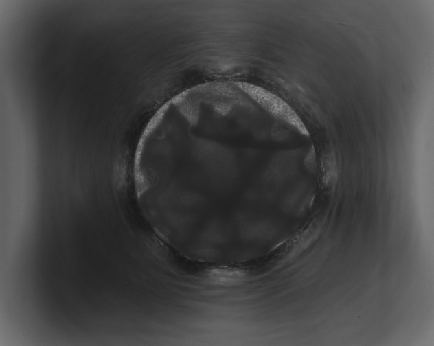 X0000100920515200807151225