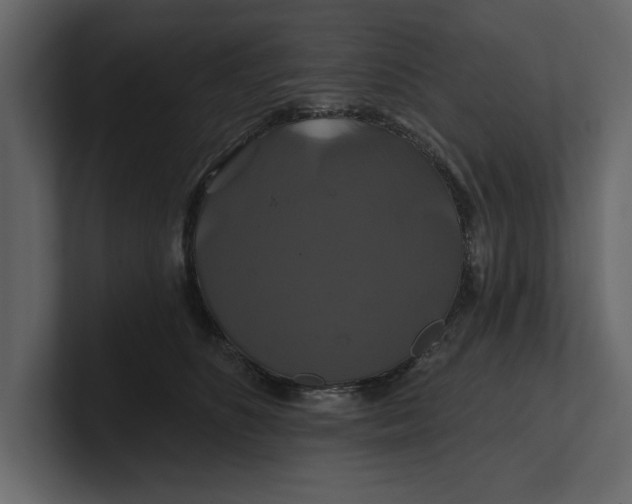 X0000100920516200807151225