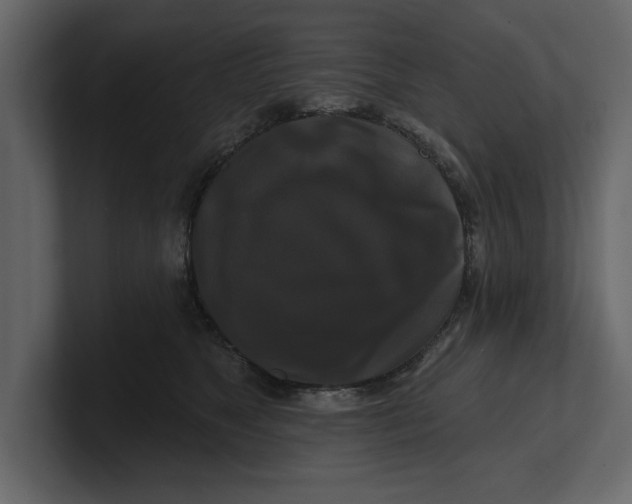X0000100920517200807151225