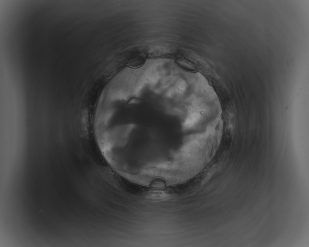 X0000100920519200807151225