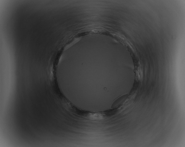 X0000100920520200807151225