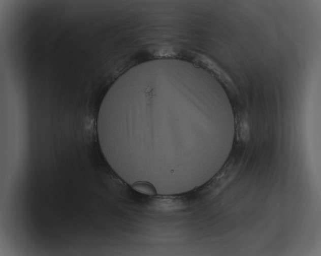 X0000100920521200807151225