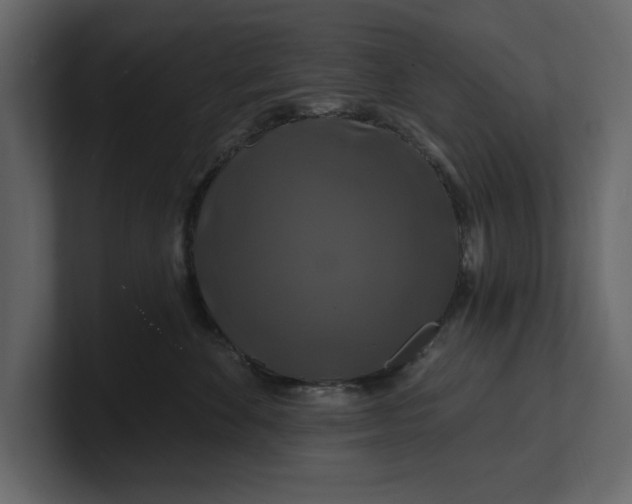 X0000100920524200807151225