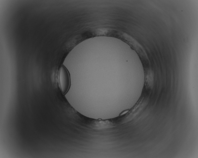 X0000100920525200807151225
