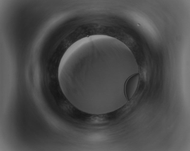 X0000100920526200807151225