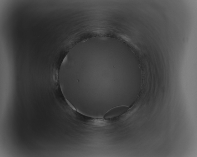 X0000100920528200807151225