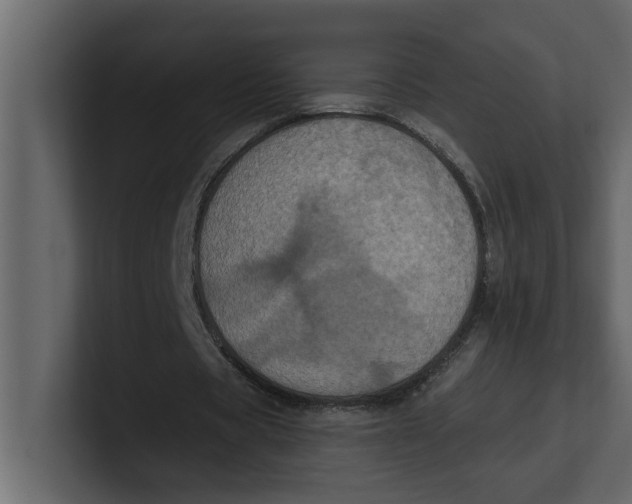 X0000100920529200807151224