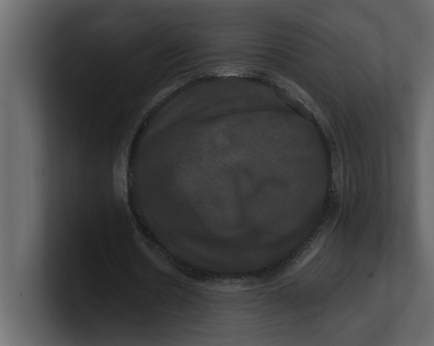 X0000100920530200807151224