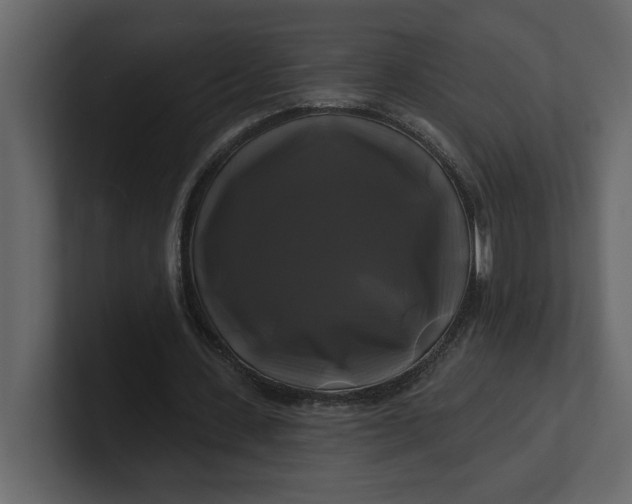 X0000100920531200807151224