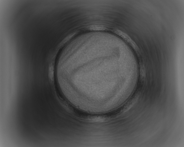 X0000100920533200807151224