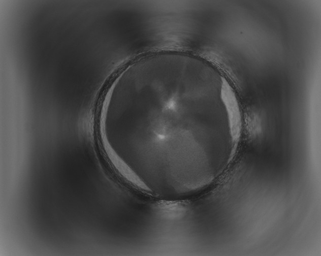 X0000100920534200807151224