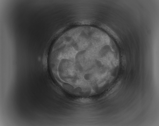 X0000100920537200807151224
