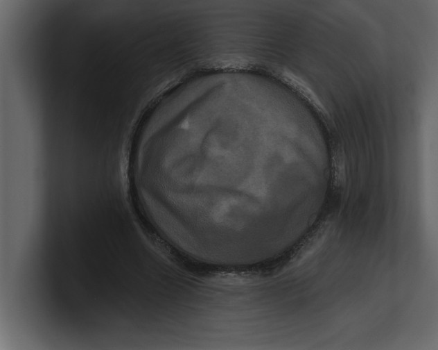 X0000100920538200807151224
