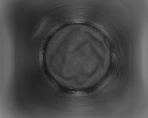 X0000100920539200807151224