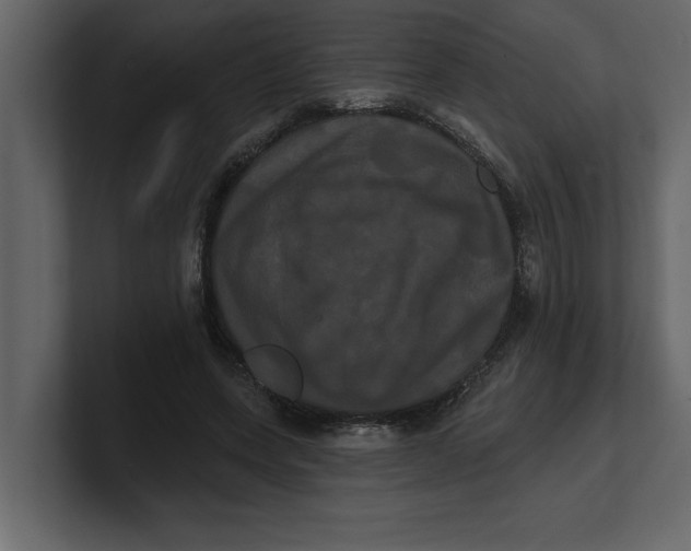 X0000100920543200807151224