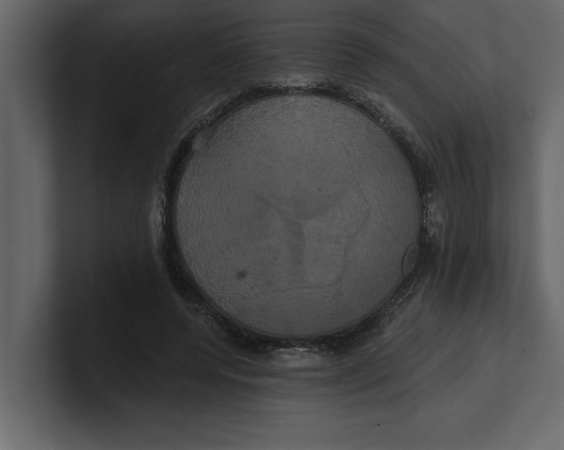 X0000100920544200807151224