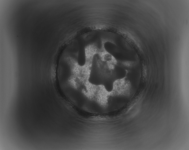X0000100920545200807151224