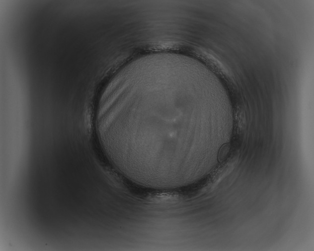 X0000100920546200807151224