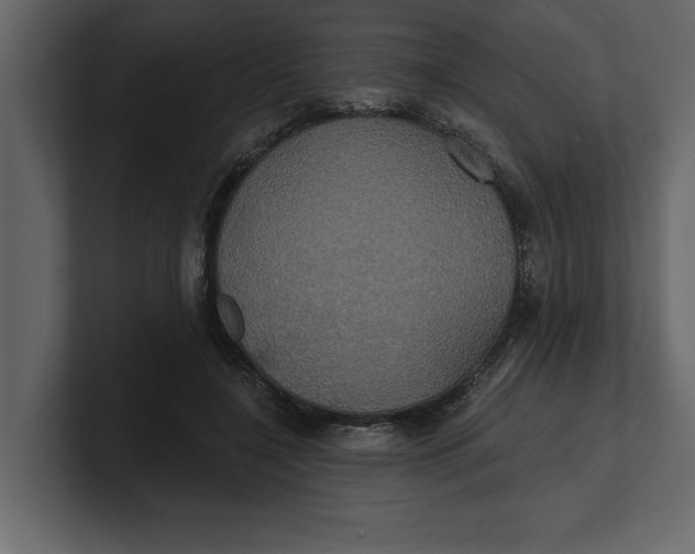 X0000100920548200807151224