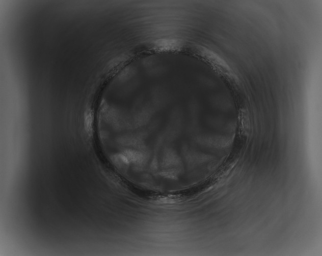 X0000100920550200807151224
