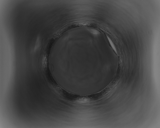 X0000100920551200807151224