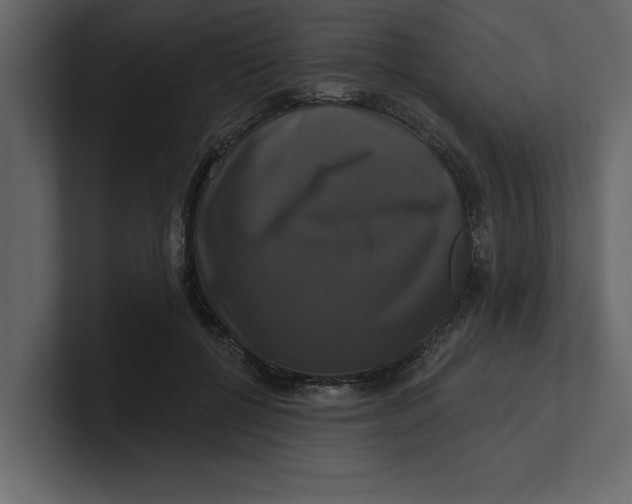 X0000100920552200807151224