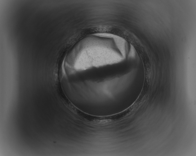 X0000100920553200807151224
