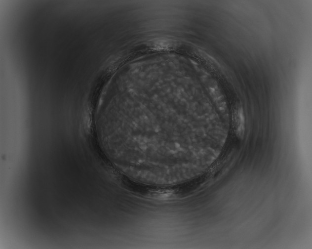 X0000100920554200807151224
