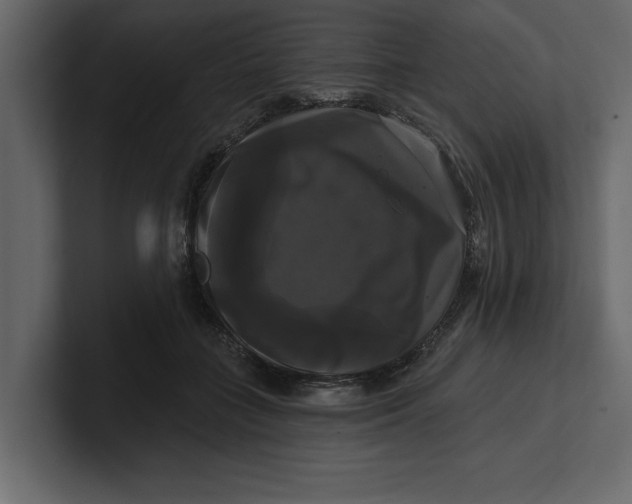 X0000100920555200807151224