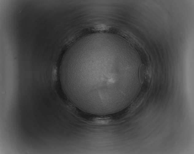 X0000100920556200807151224