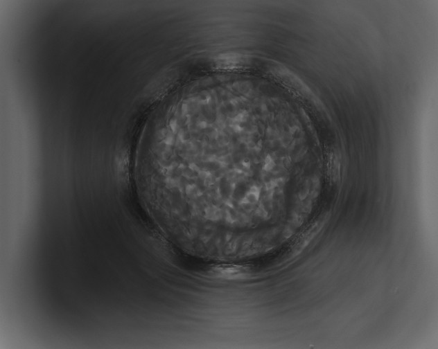 X0000100920557200807151224