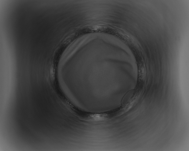 X0000100920558200807151224