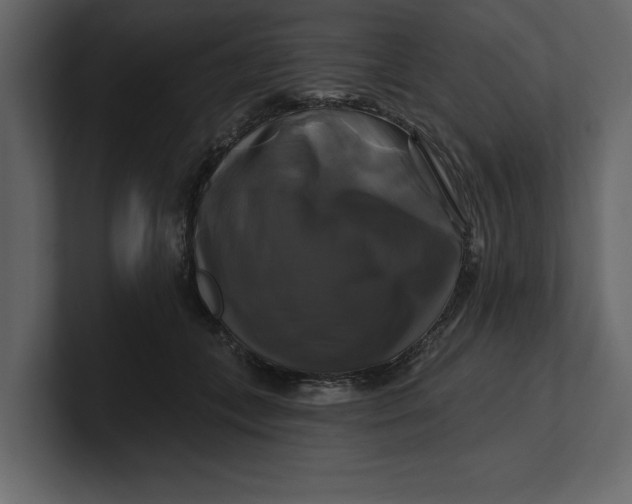 X0000100920559200807151224