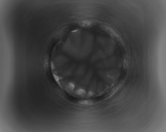 X0000100920561200807151224