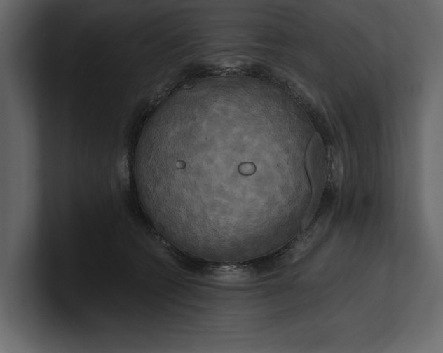 X0000100920562200807151224