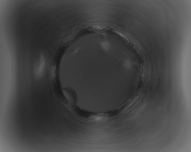 X0000100920563200807151224