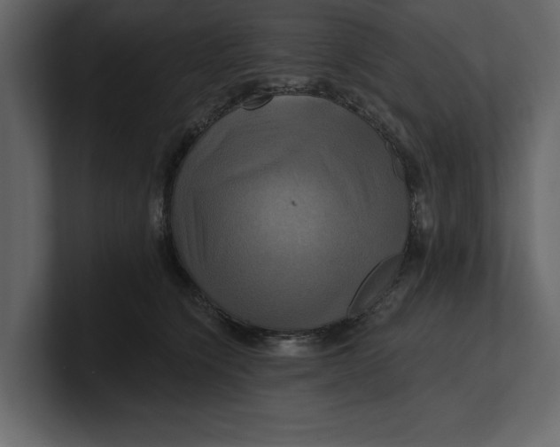 X0000100920564200807151224