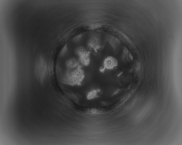 X0000100920565200807151224
