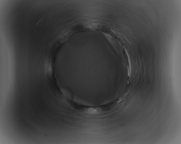 X0000100920566200807151224