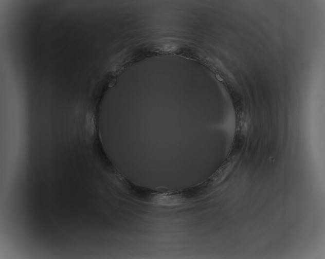 X0000100920568200807151224
