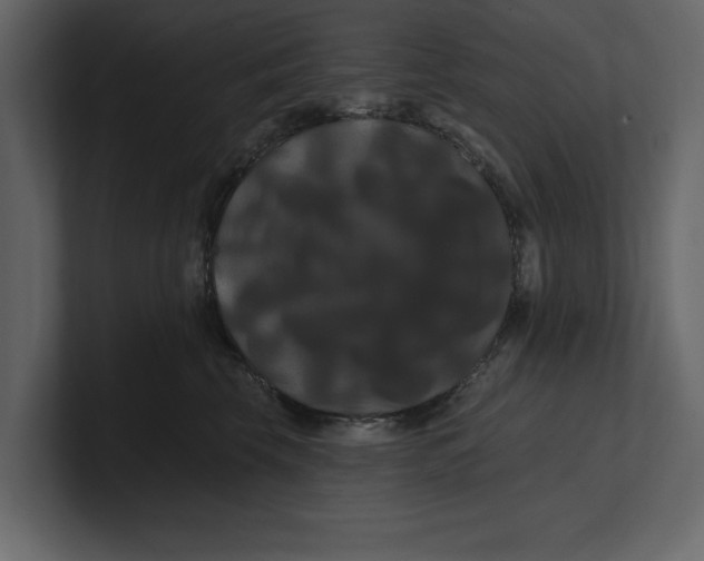 X0000100920569200807151224