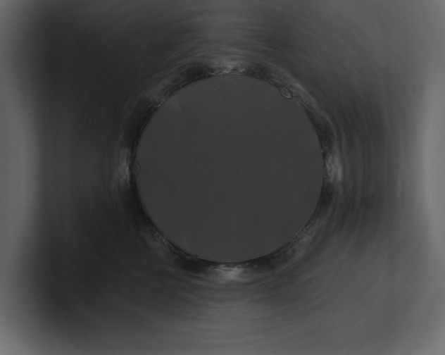 X0000100920570200807151224